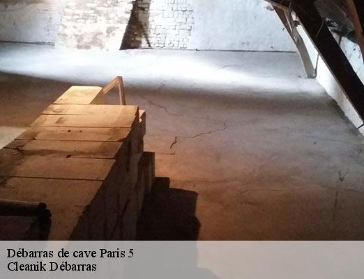 Débarras de cave  paris-5-75005 Cleanik Débarras