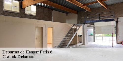 Débarras de Hangar  paris-6-75006 Cleanik Débarras